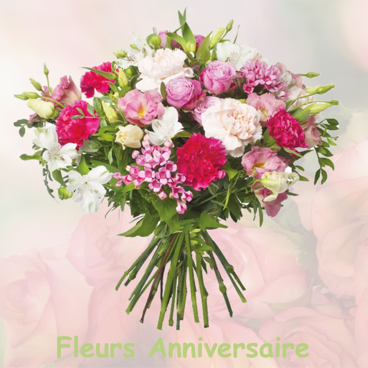 fleurs anniversaire DESSIA